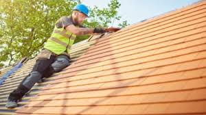 Best Roof Maintenance and Cleaning  in La Feria, TX