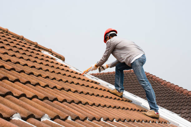 Best Tile Roofing Installation  in La Feria, TX