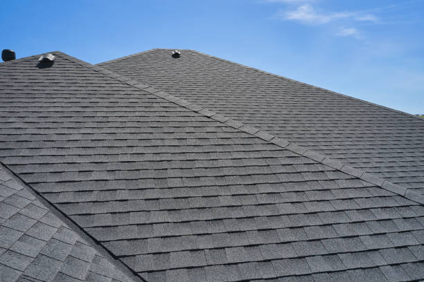 Best Roof Leak Repair  in La Feria, TX